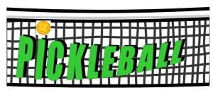 pickleball net